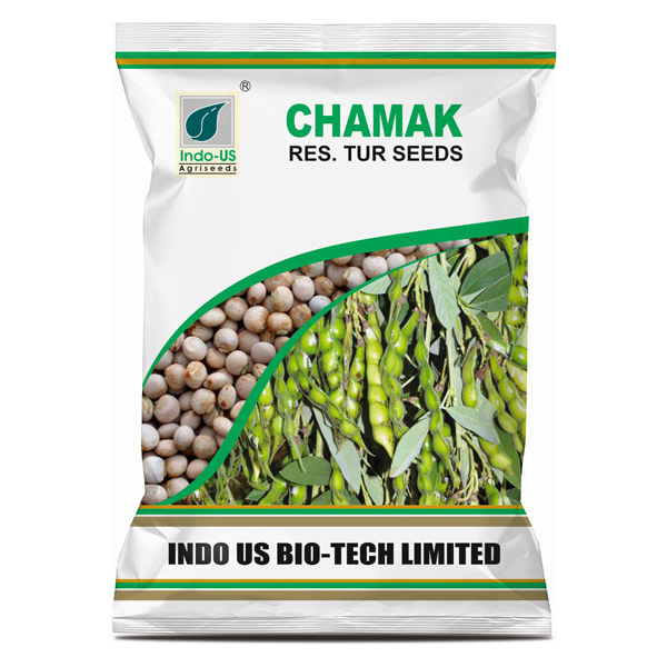 INDO-US CHAMAK Research Pigeon Pea Seeds (Tur Beej)